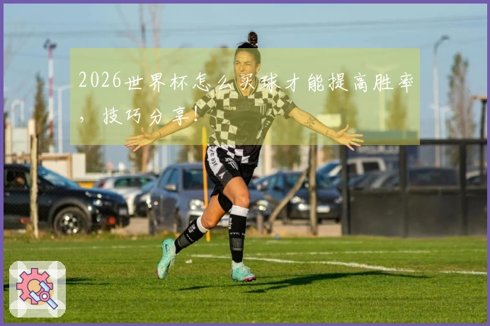 2026世界杯怎么买球才能提高胜率，技巧分享！