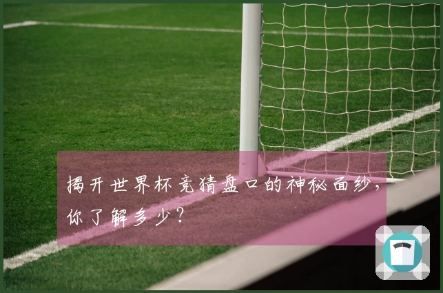 揭开世界杯竞猜盘口的神秘面纱，你了解多少？