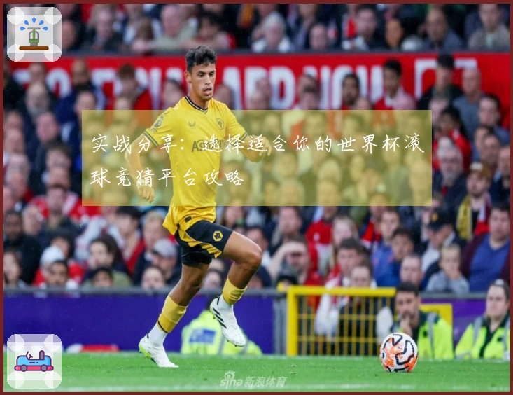 实战分享：选择适合你的世界杯滚球竞猜平台攻略