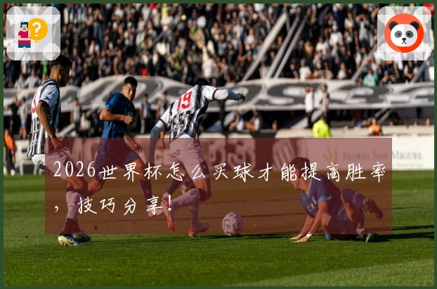 2026世界杯怎么买球才能提高胜率，技巧分享！