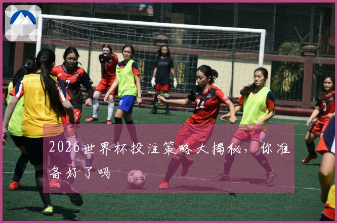 2026世界杯投注策略大揭秘，你准备好了吗