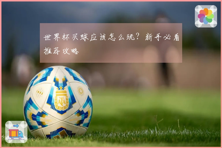 世界杯买球应该怎么玩？新手必看推荐攻略