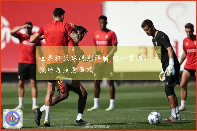 世界杯买球规则详解 轻松掌握投注技巧与注意事项